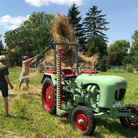 Alte Schmiede Apartament
